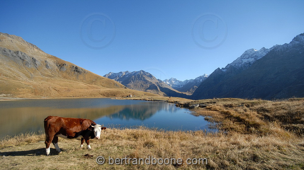 lac du pontet(05)