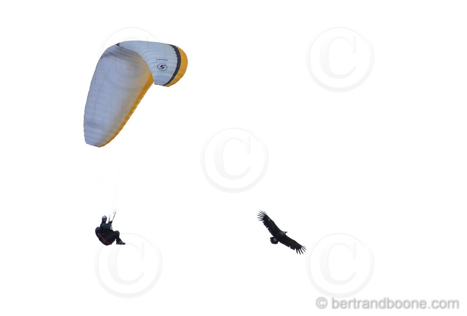 100529-122-b.boone.jpg