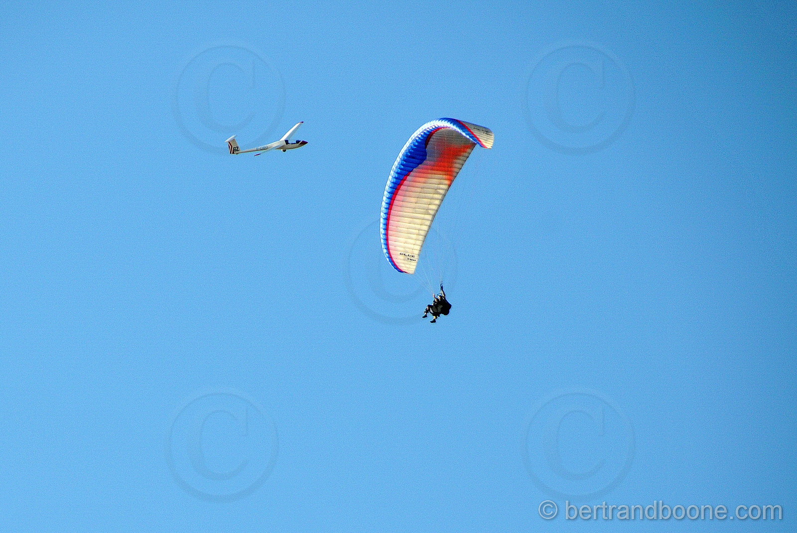 dsc_3469.jpg