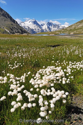 Lac du Goléon (05)