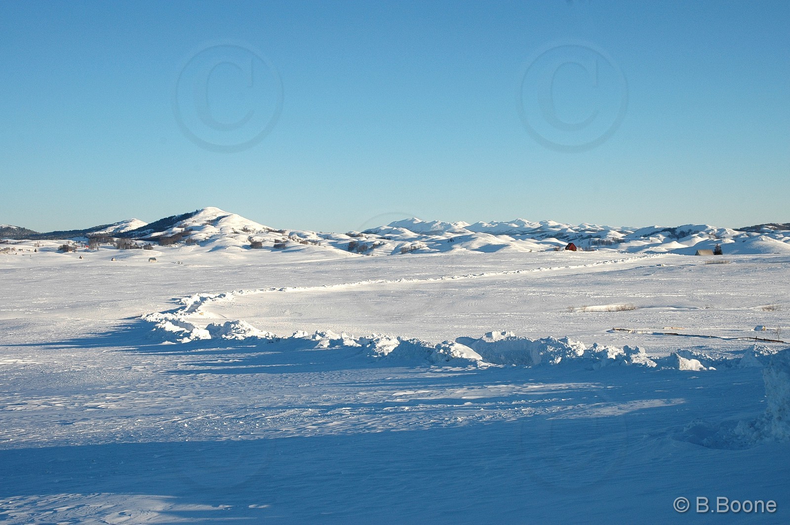 060126-009©B.Boone