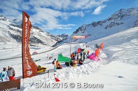 SKM 2015