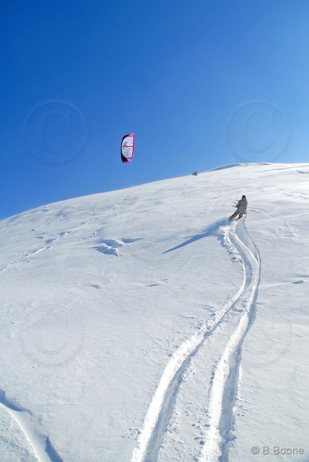 090218-377©B.Boone