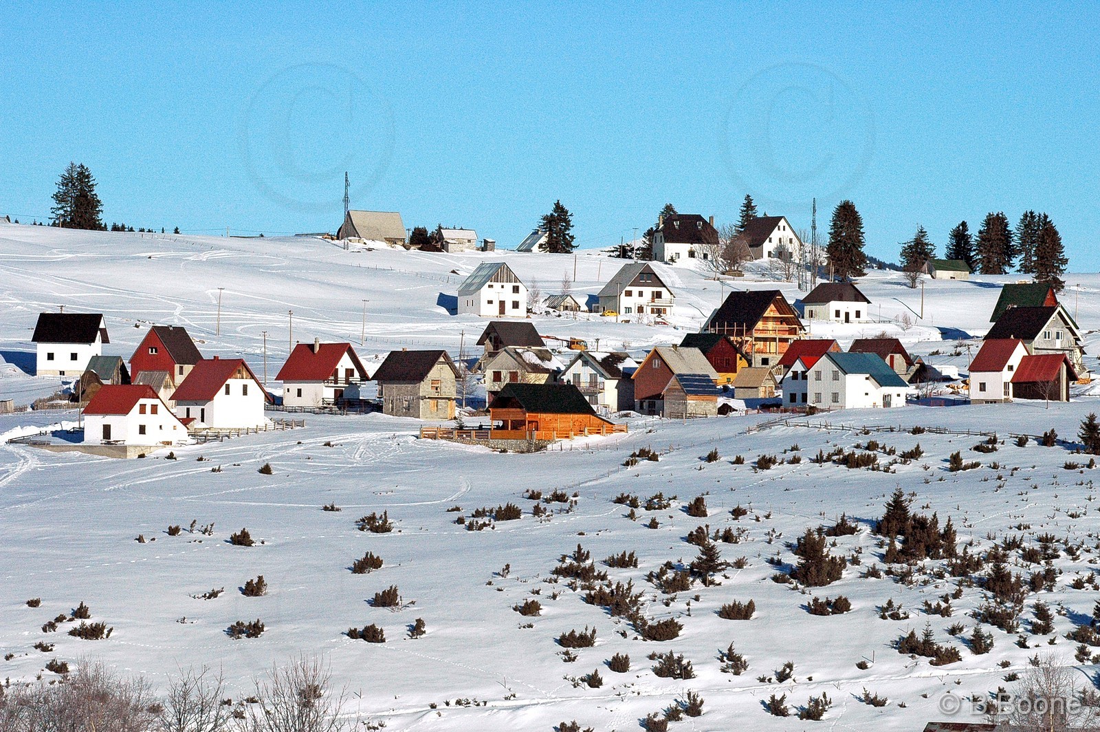 060126-293©B.Boone