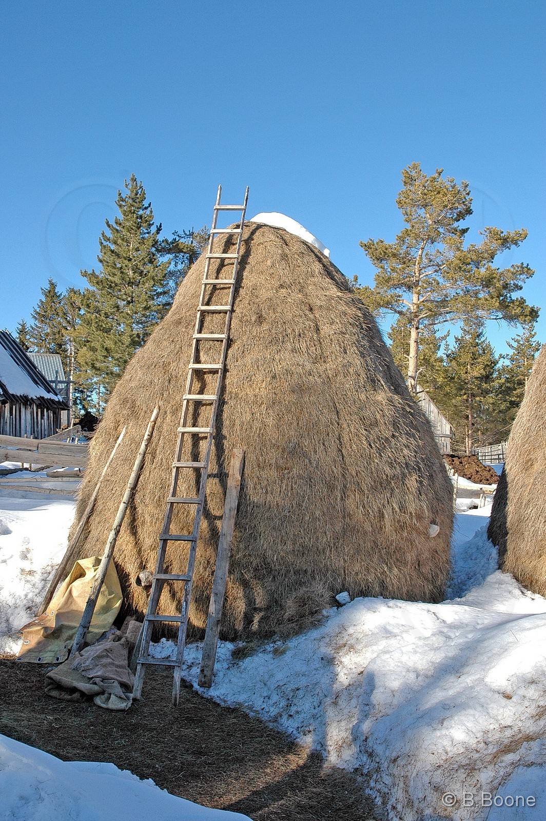 060126-586©B.Boone