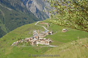 les terrasses
