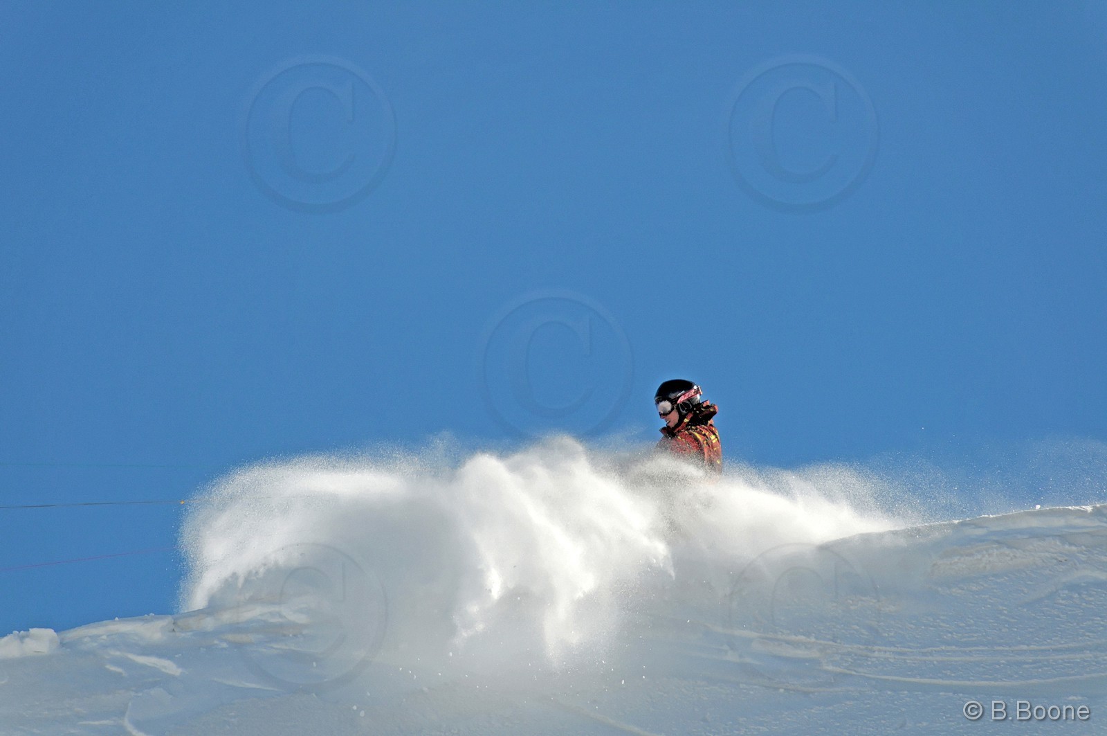 100321-0873©B.Boone