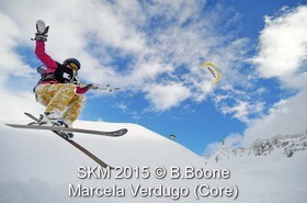 SKM 2015