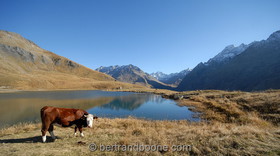 lac du pontet(05)