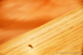 dsc_4103.jpg