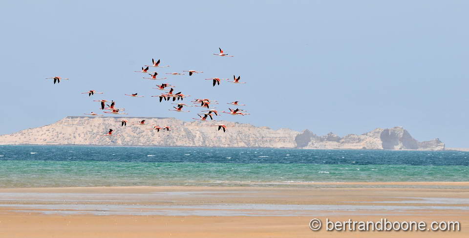 Maroc 2016