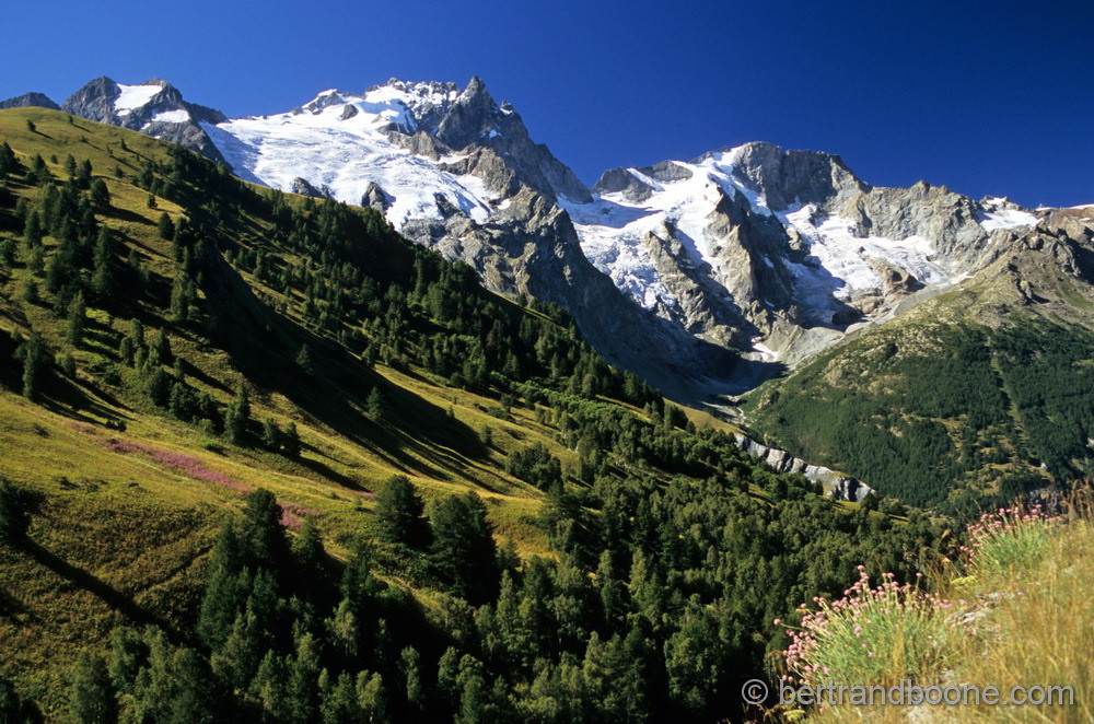 La Meije - 05 France