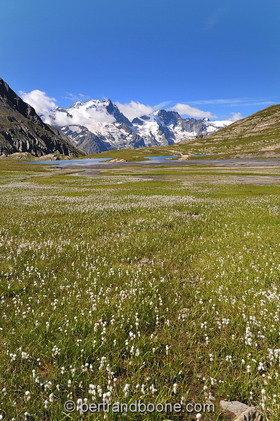 Lac du Goléon (05)