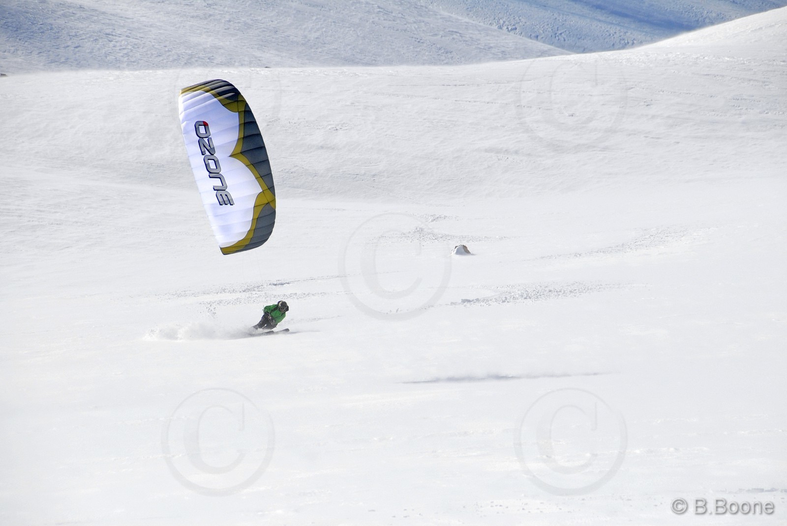 100129-564©B.Boone