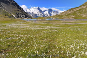 Lac du Goléon (05)