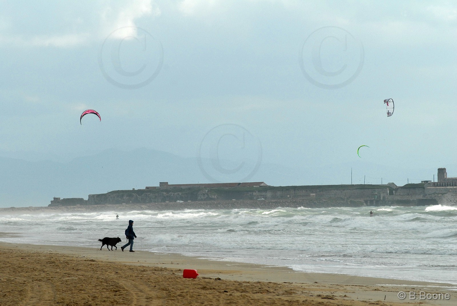 081207-092©B.Boone
