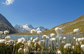 lac du goleon