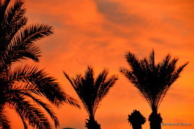 Tunisie