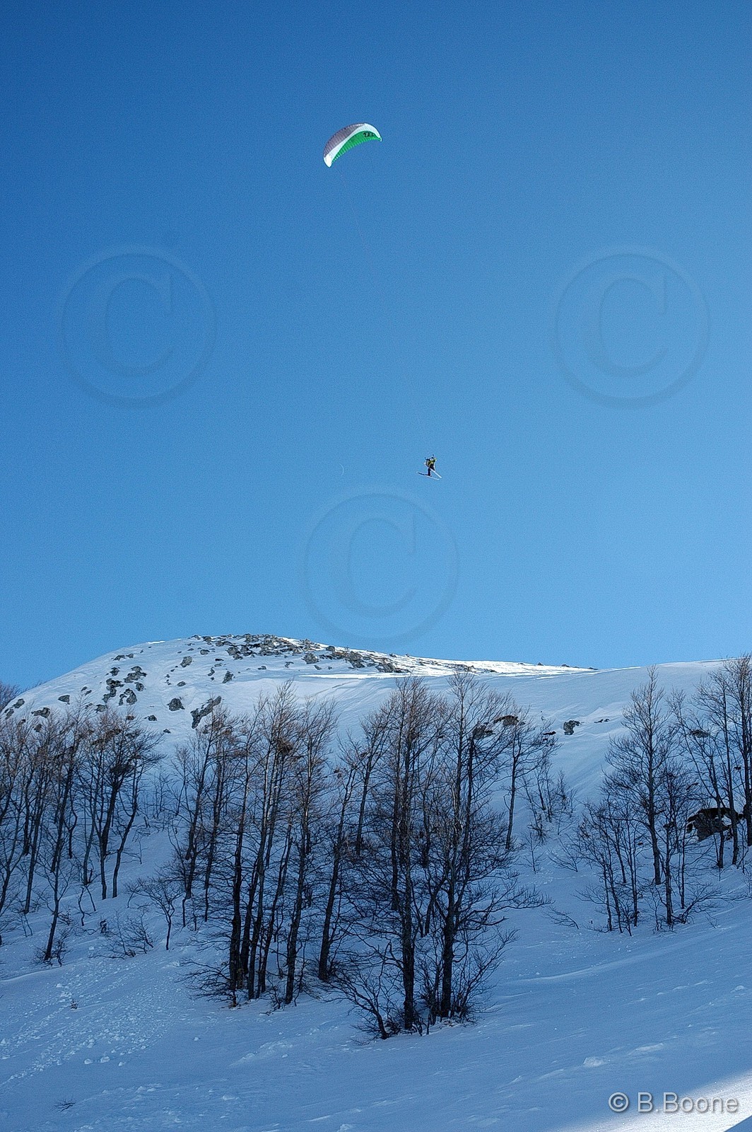 060126-394©B.Boone