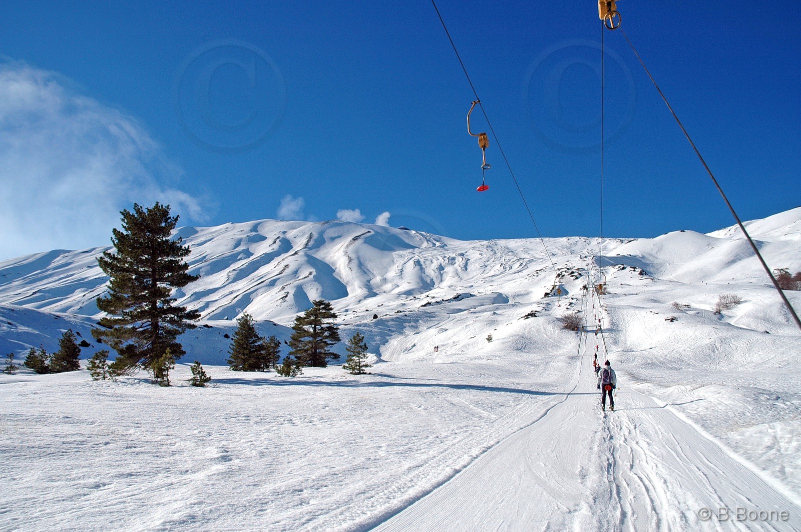 070120-075©B.Boone