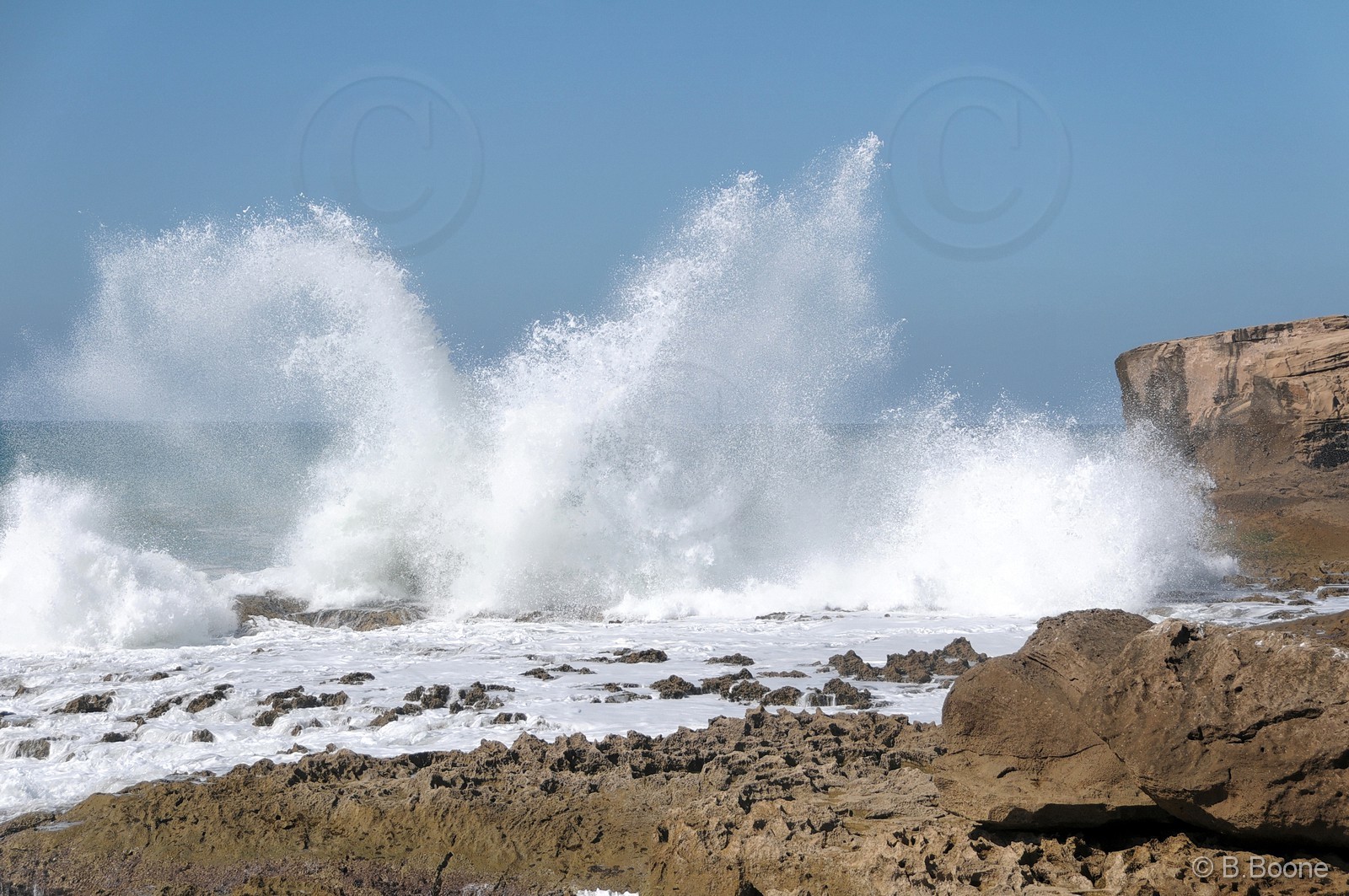 110208-051©B.Boone