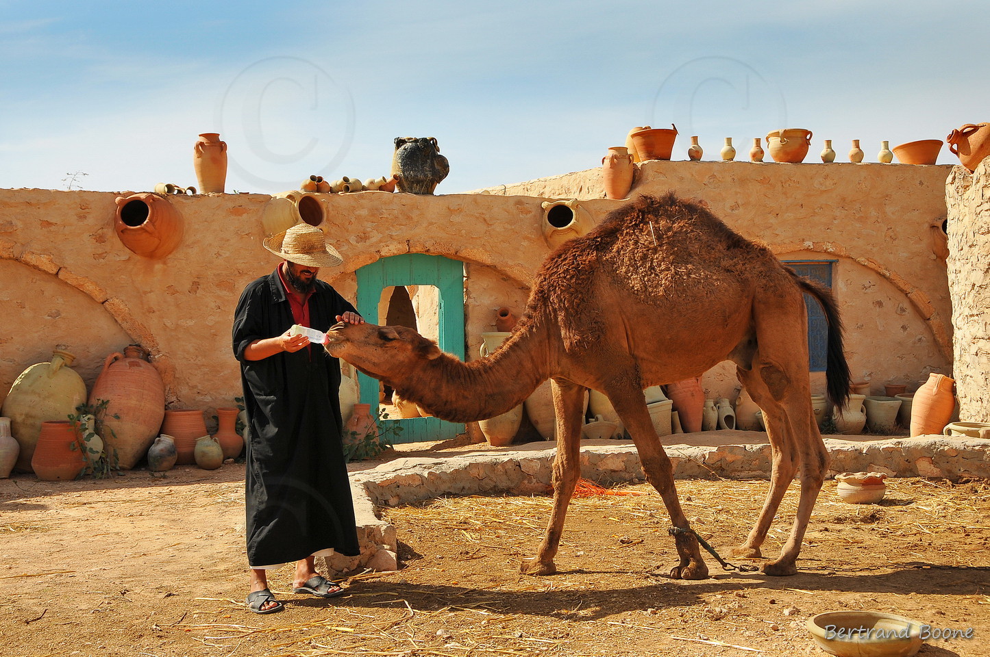 Tunisie