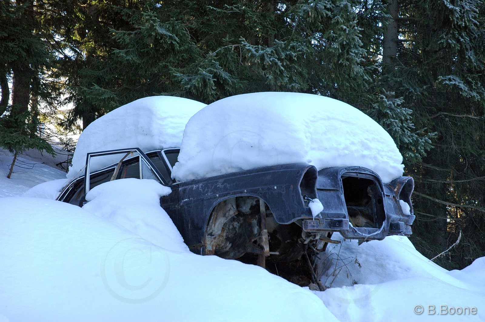 060126-575©B.Boone