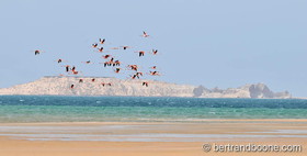 Maroc 2016