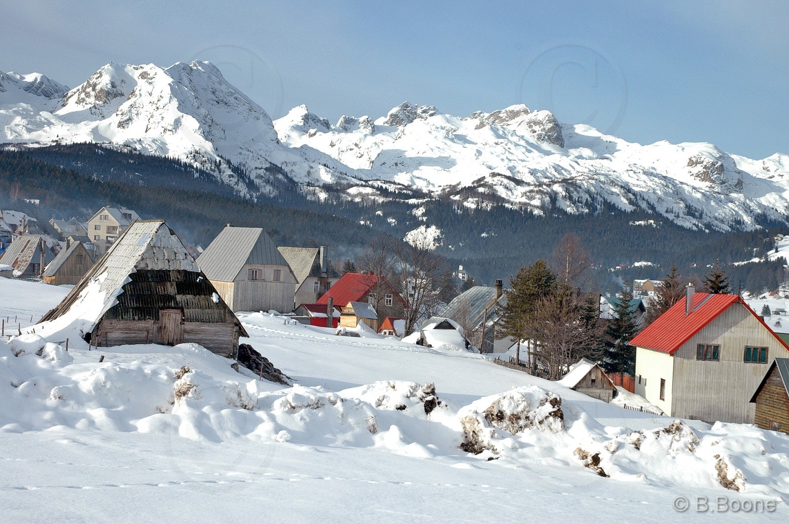 060126-234©B.Boone