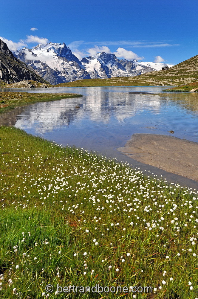 Lac du Goléon (05)