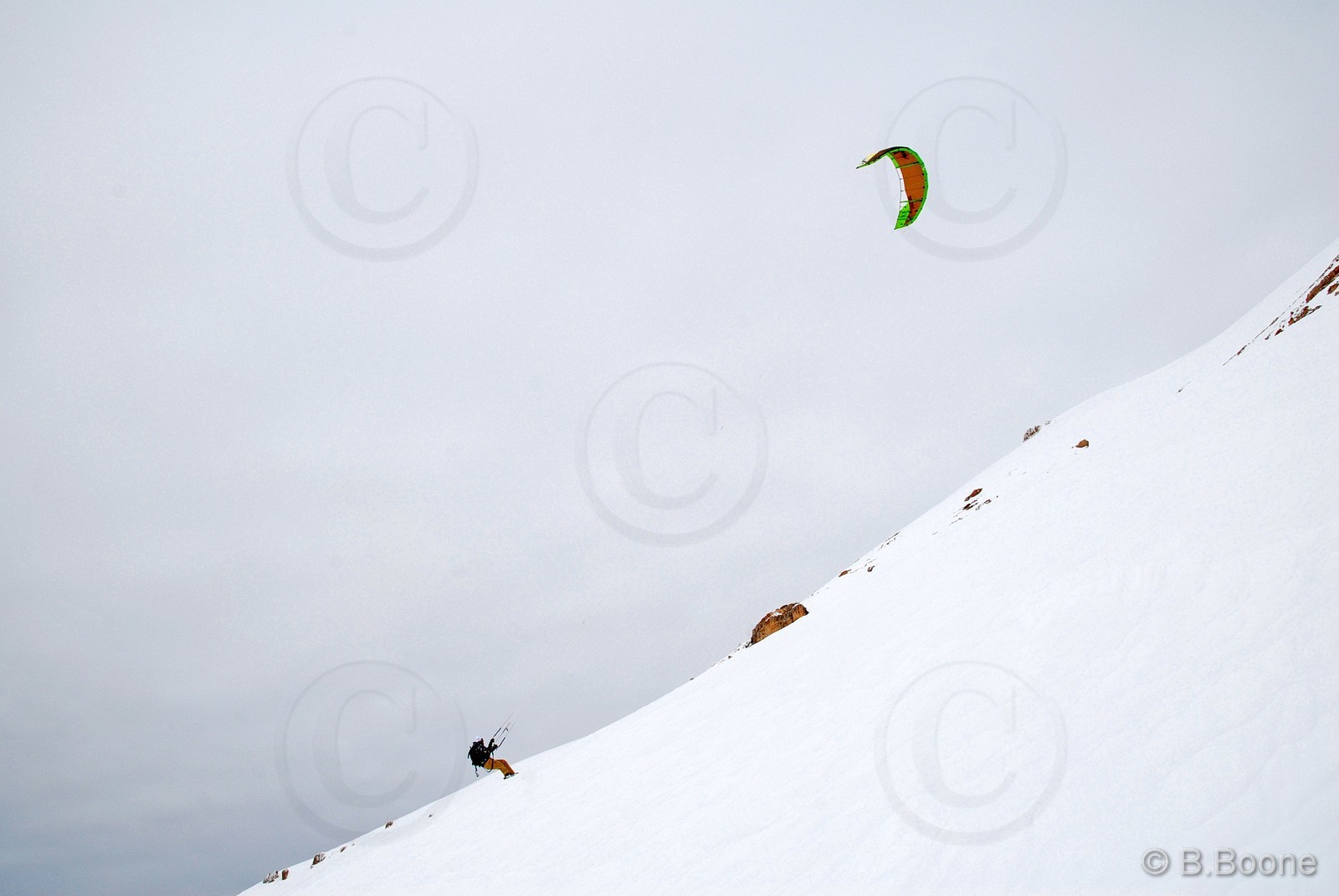 100128-105©B.Boone