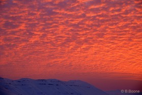 snowkite au Liban