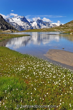 Lac du Goléon (05)