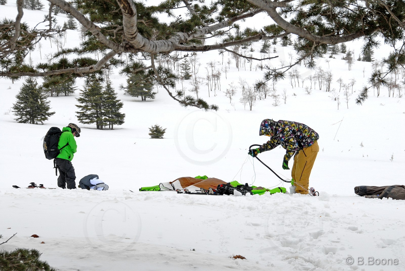 100129-004©B.Boone