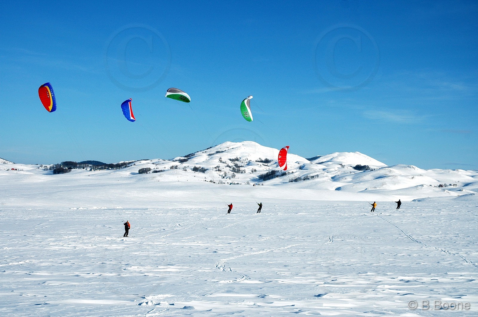 060126-156©B.Boone