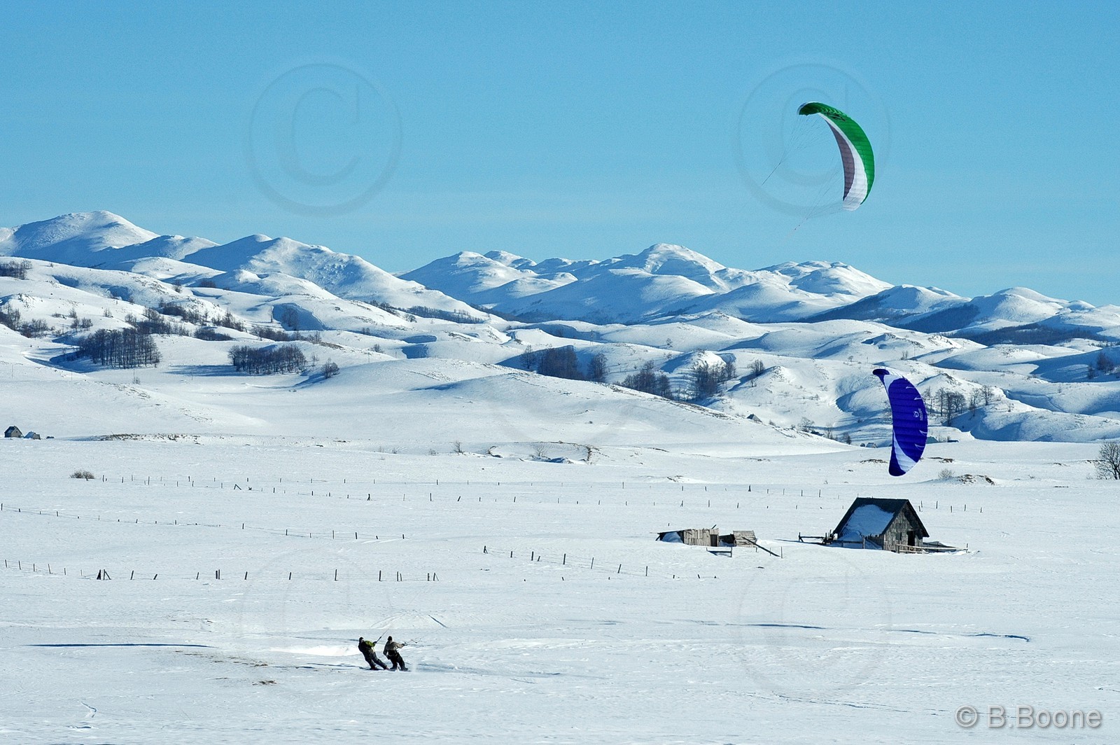 060126-333©B.Boone