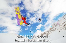 SKM 2015