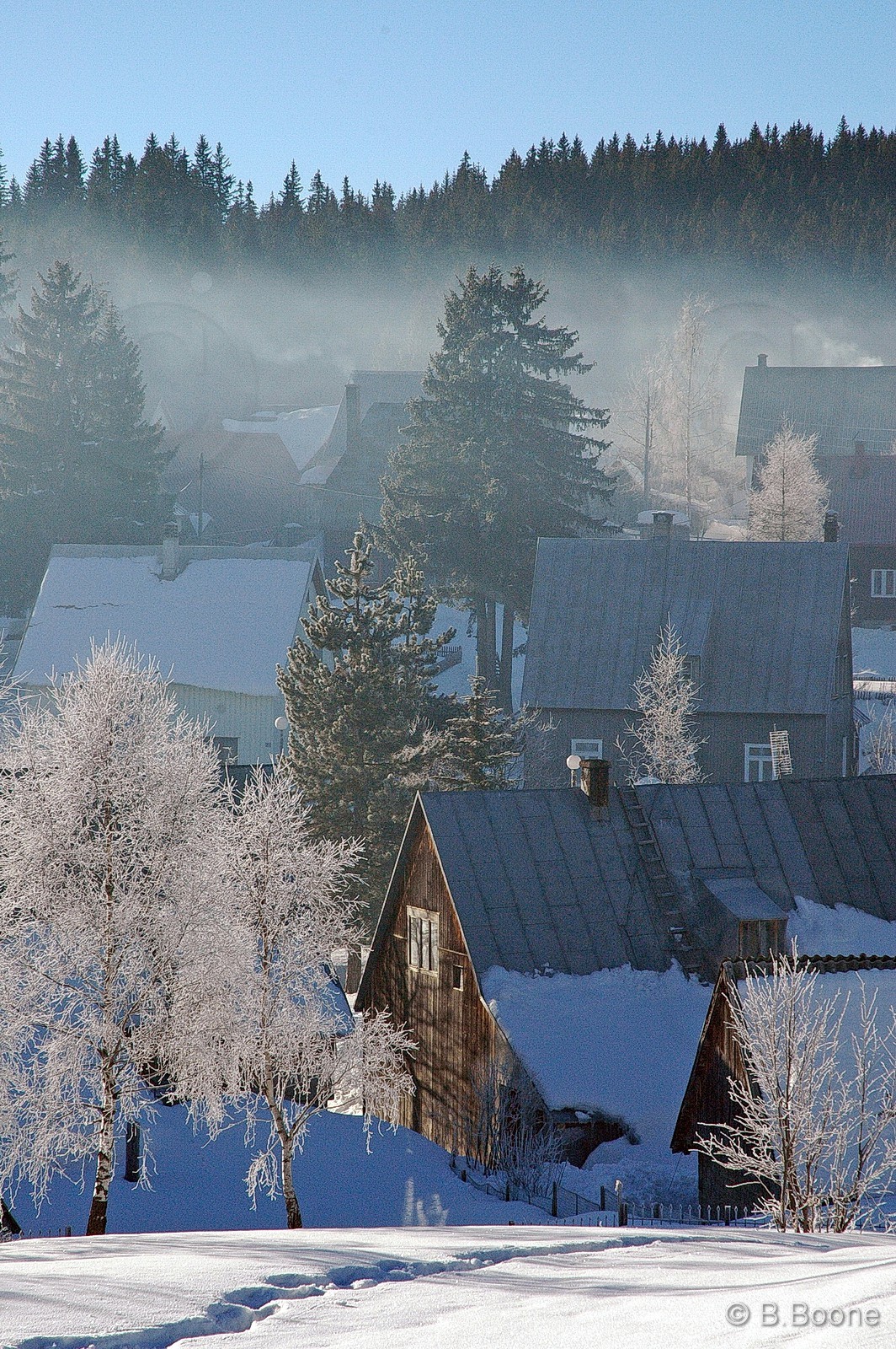 060126-291©B.Boone