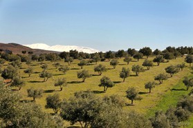 Maroc