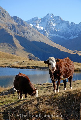 lac du Pontet