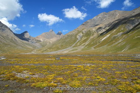 aiguilles d'arves