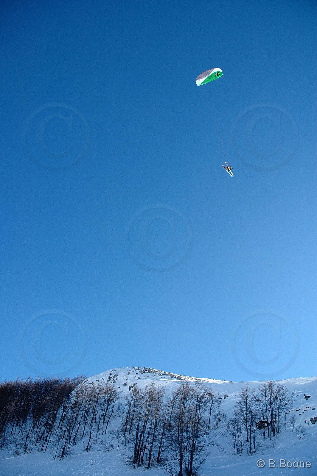 060126-415©B.Boone