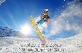 SKM 2015