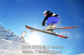 SKM 2015