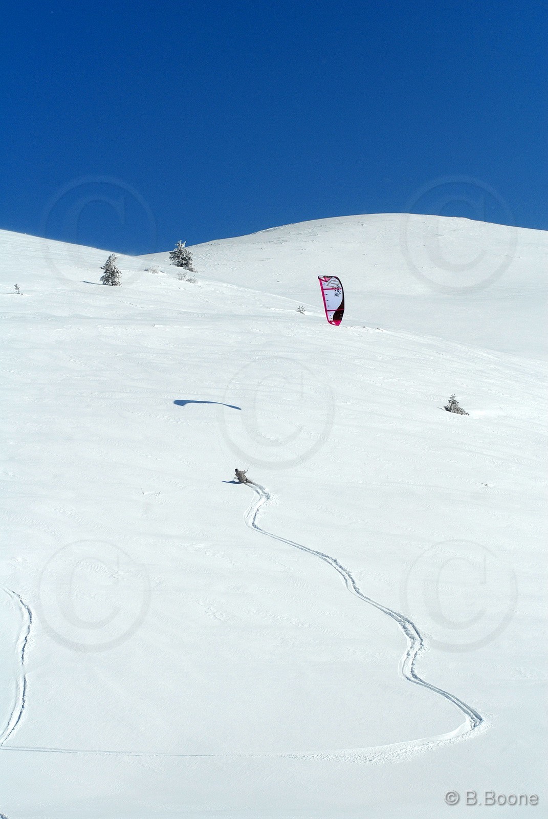 090218-075©B.Boone