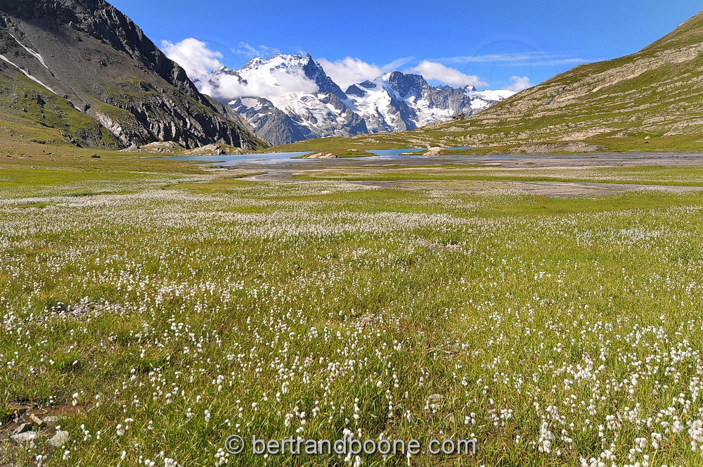 Lac du Goléon (05)
