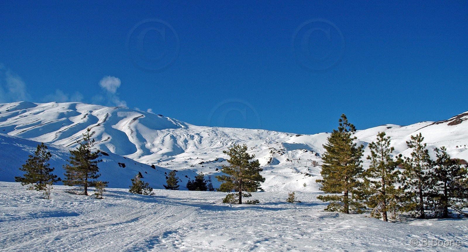 070120-050©B.Boone