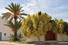 Tunisie