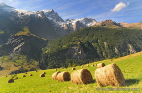 La Meije (05)