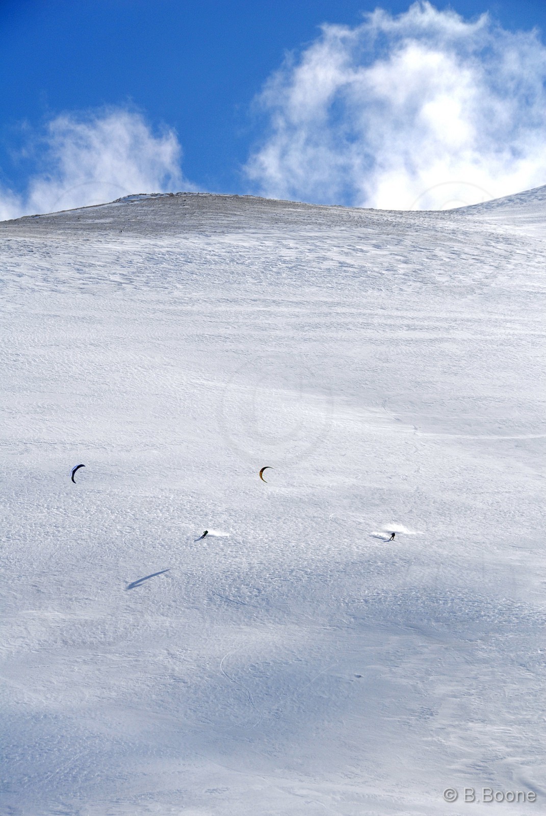 100129-479©B.Boone